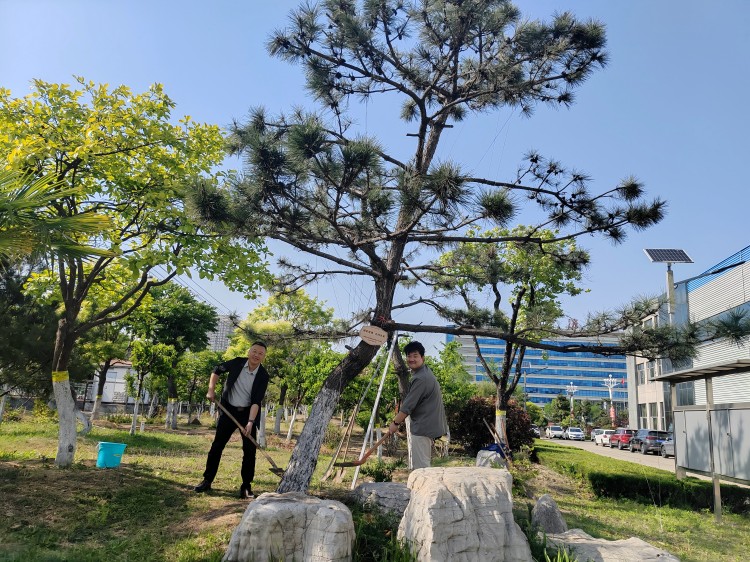 微信圖片_20250506085505(1)